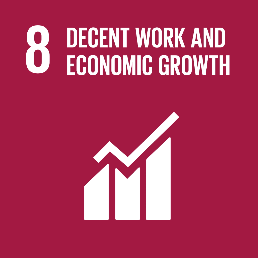 SDG 8 Animated