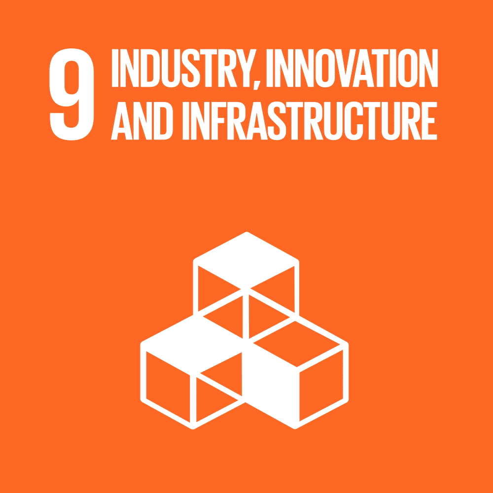 SDG 9 Animated