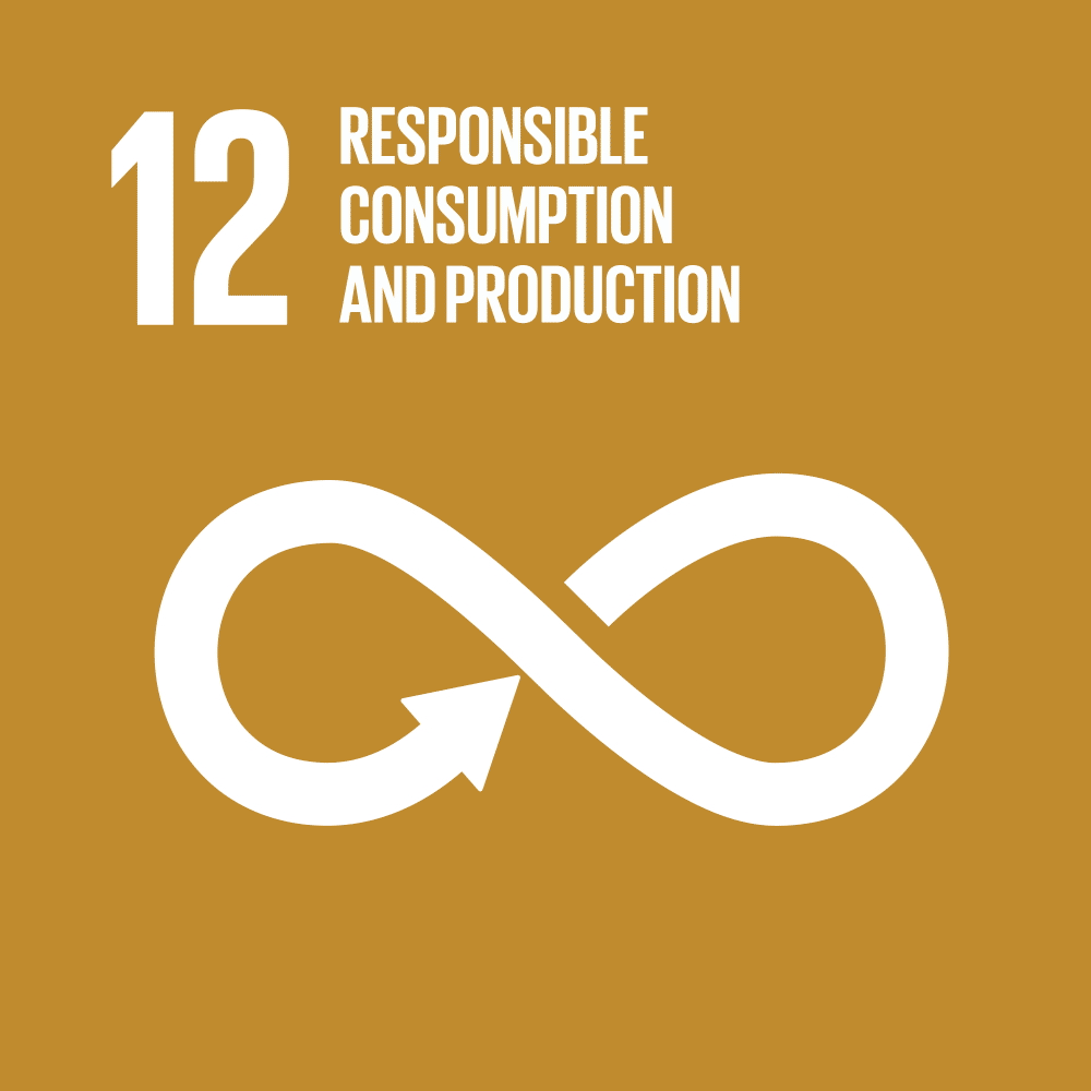 SDG 12 Animated
