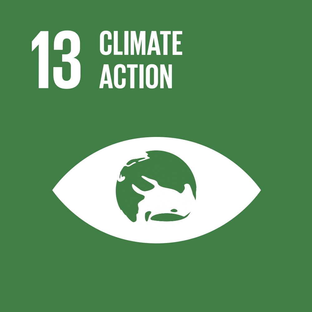 SDG 13 Animated
