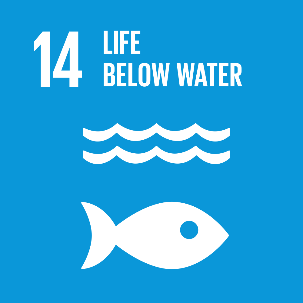 SDG 14 Animated