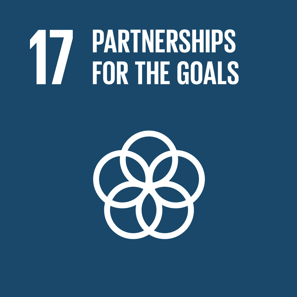 SDG 17